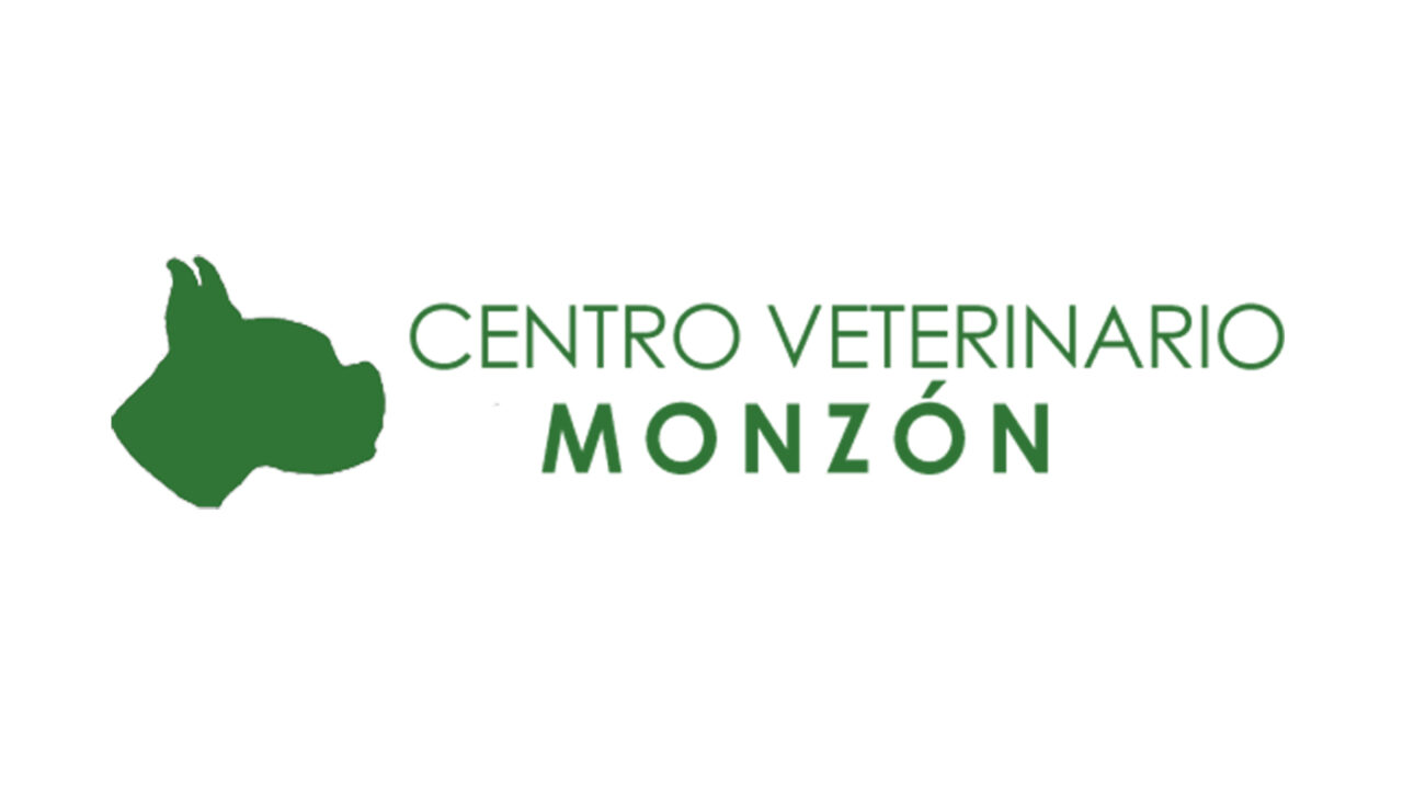 Sevilla | Centro Veterinario Monzón