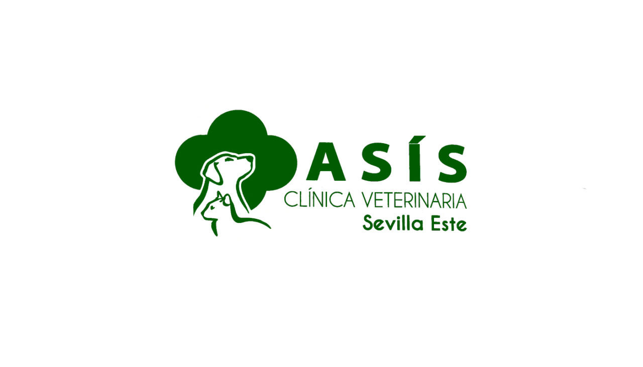 Sevilla | Clínica Veterinaria Asís