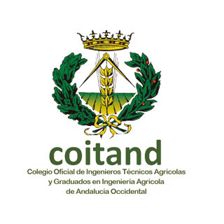 coitand web 2025