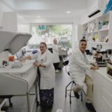 LAB zon
