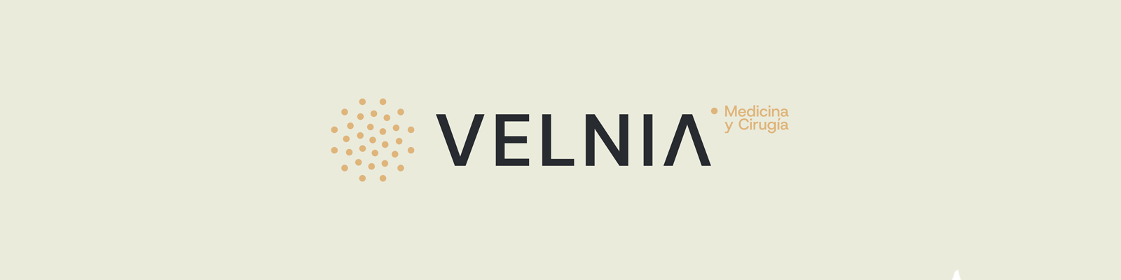 VELNIA SLIDE